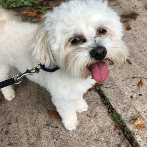 Meet your Posher, Julie